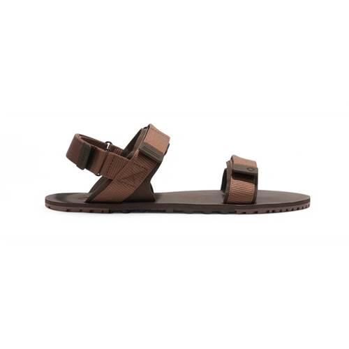 XERO SHOES picture