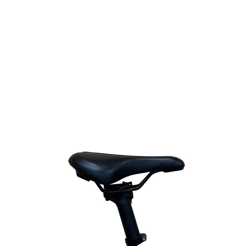 Second Hand - E-Bike Rose Sneak Plus EQ Mahle - Canou