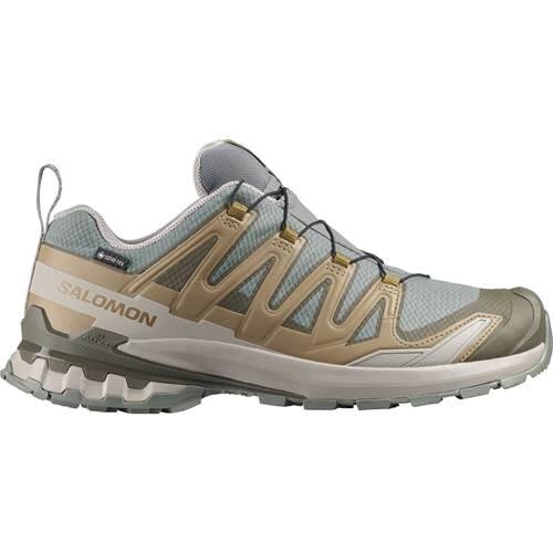 SALOMON picture