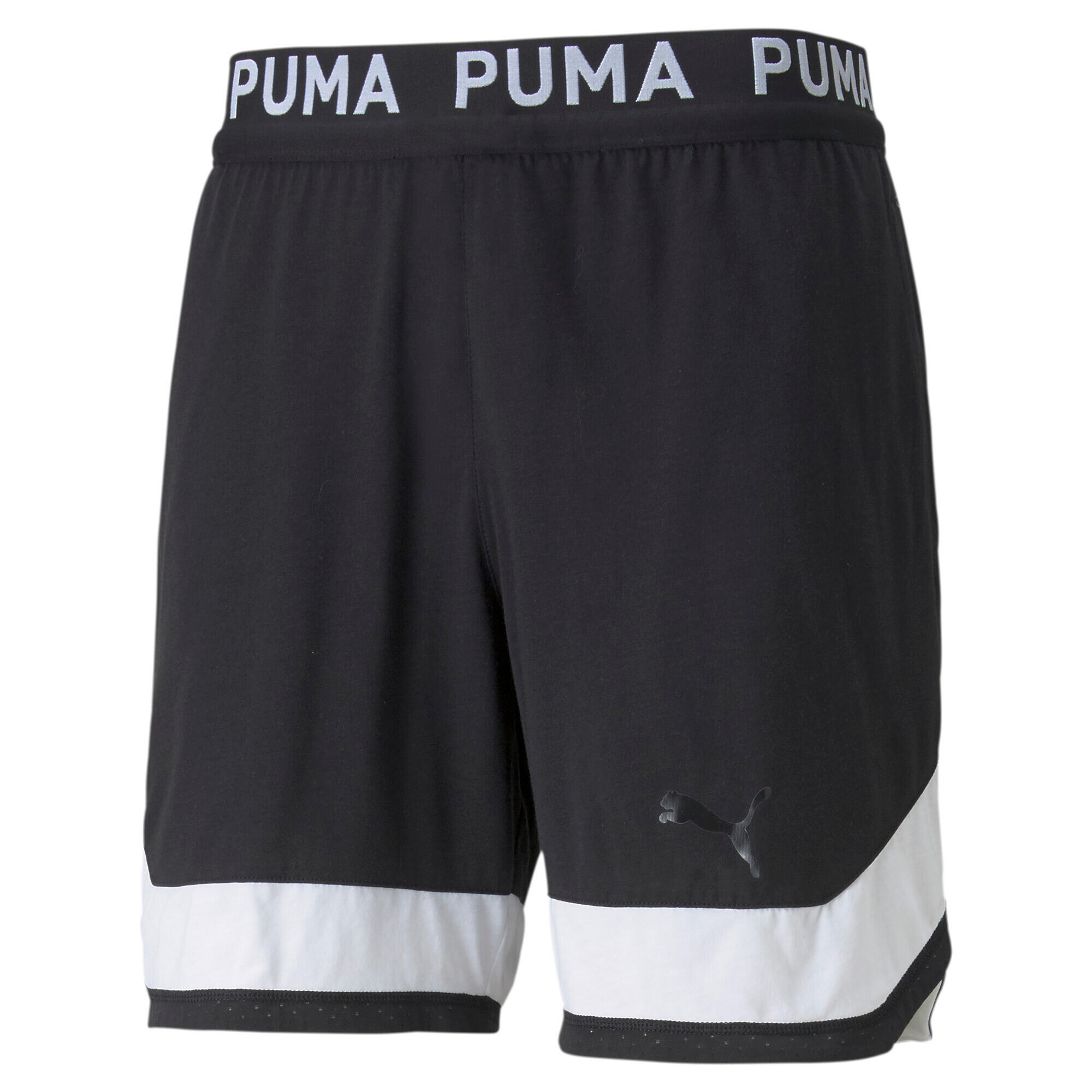 PUMA picture