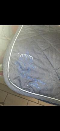 Entre Particuliers - Tapis de selle hv polo