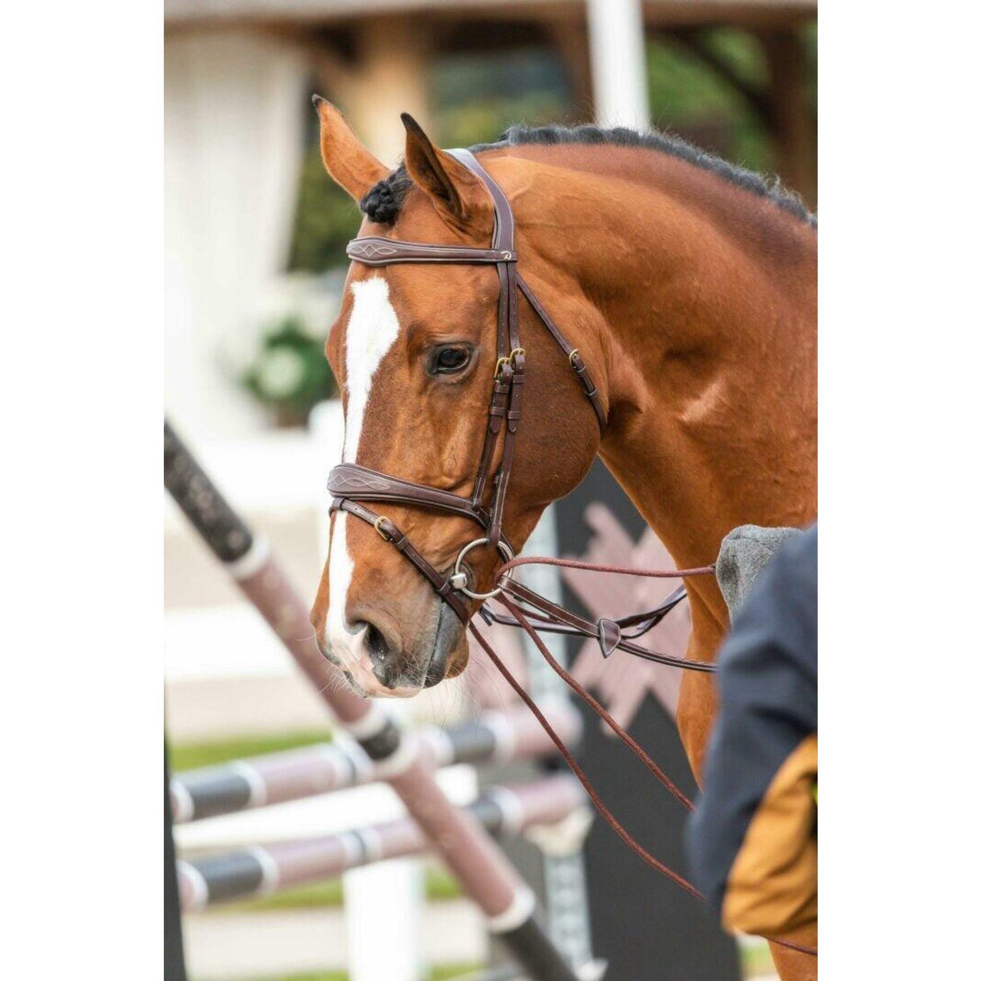 Dy'on Leather/nylon Draw Reins 5/8 - D Collection Zwart -