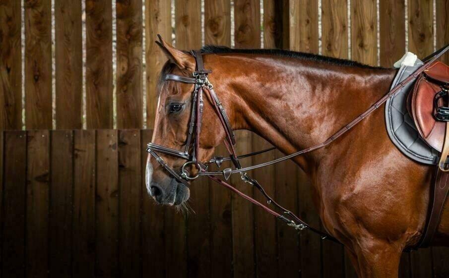 Accessoire de bridon pour cheval nylon Dy'on Gogue 3/5