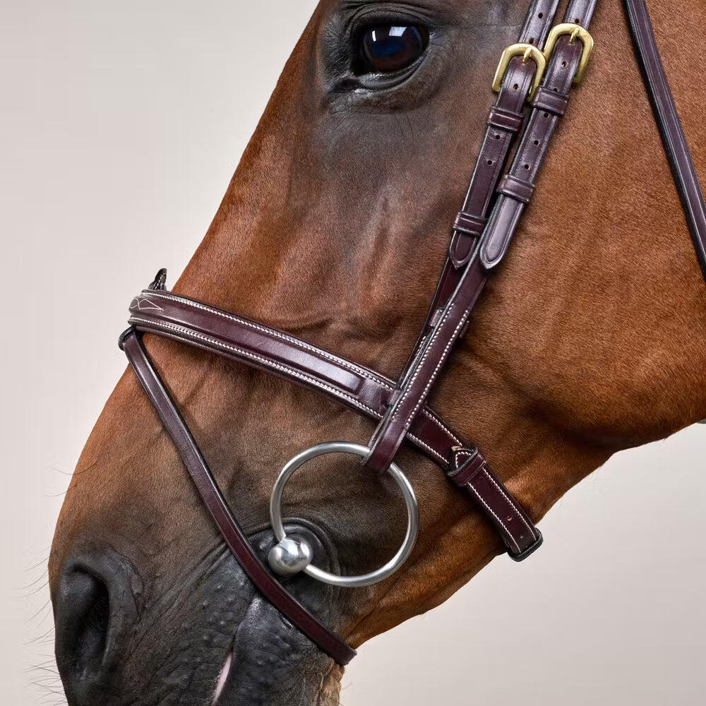 Briglia combinata da equitazione con nasello Dy'on 3/7