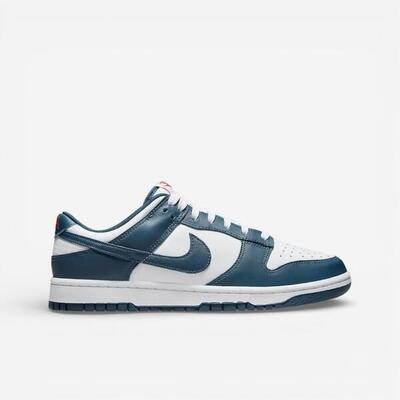 Nike dunk low valerian blue