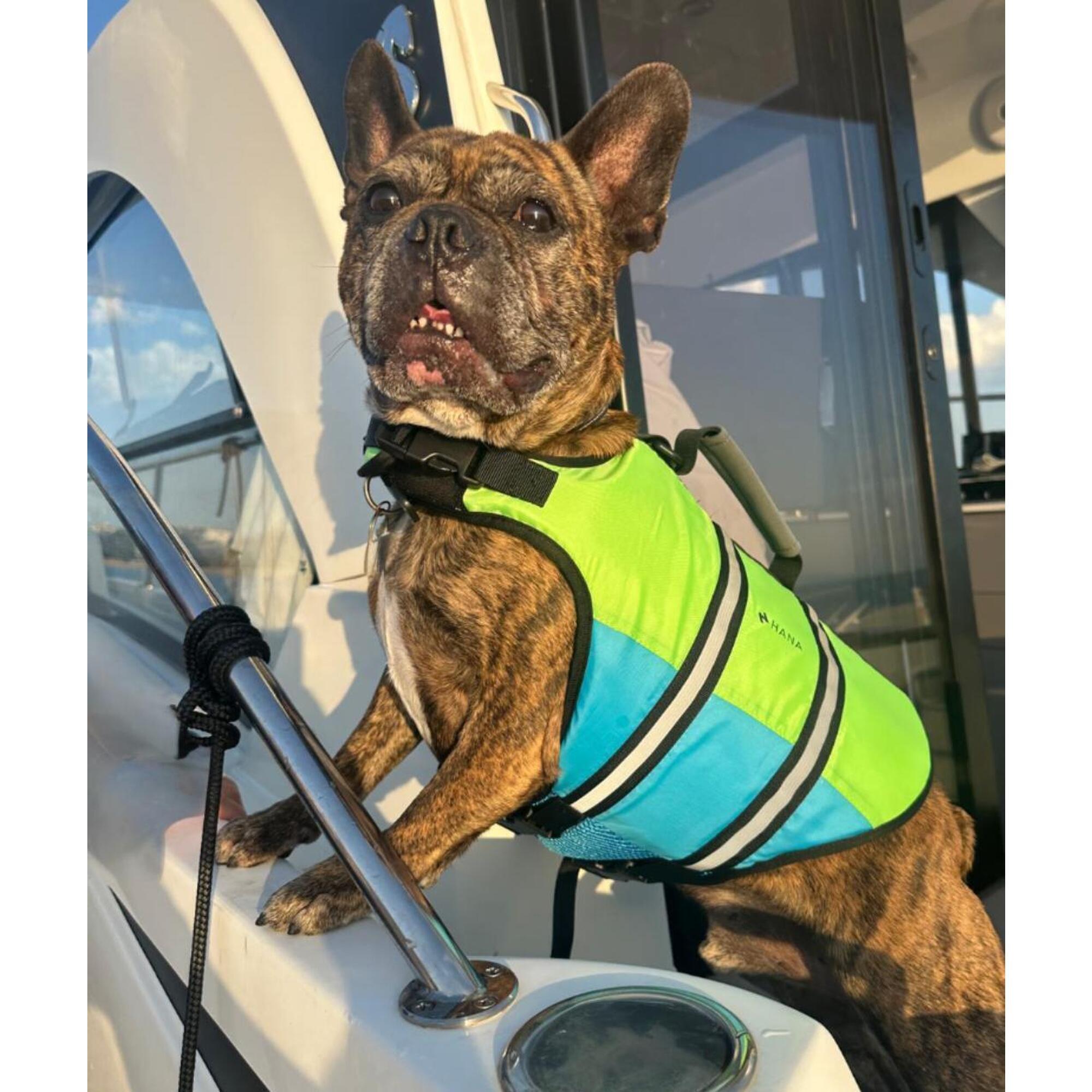 Hana Outdoors - Gilet De Sauvetage Pour Chien Hana - Gilet De Sauvetage - Moyen - Decathlon