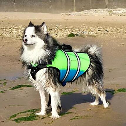 HANA Hundeschwimmweste