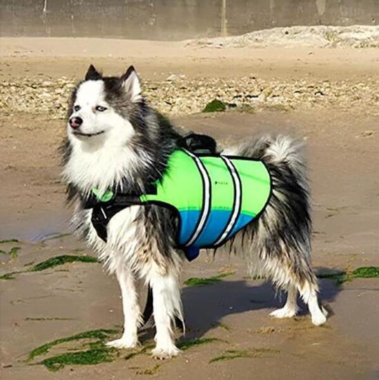 HANA Hundeschwimmweste