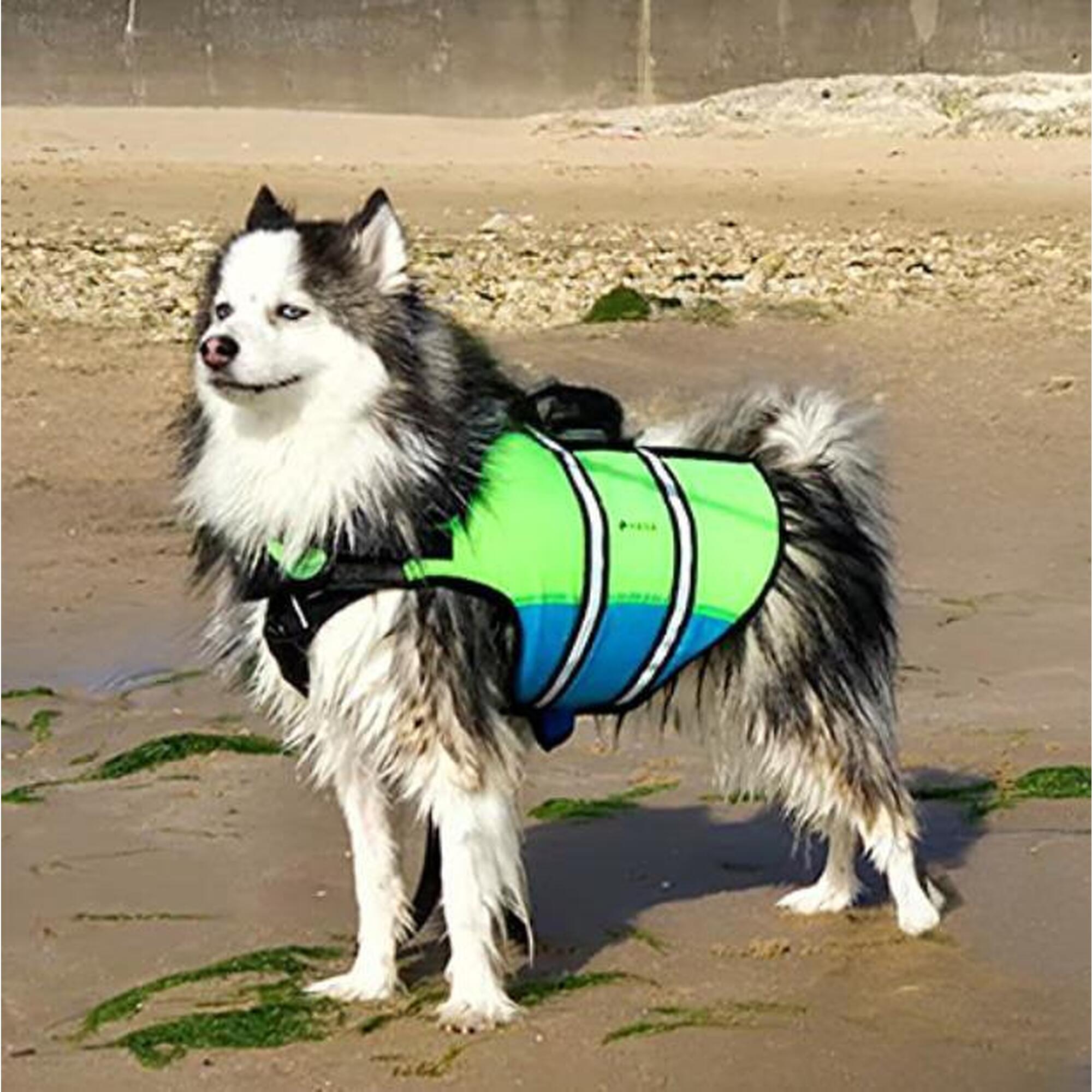 Hana Outdoors - Gilet De Sauvetage Pour Chien Hana - Gilet De Sauvetage - 36 Xs - Decathlon