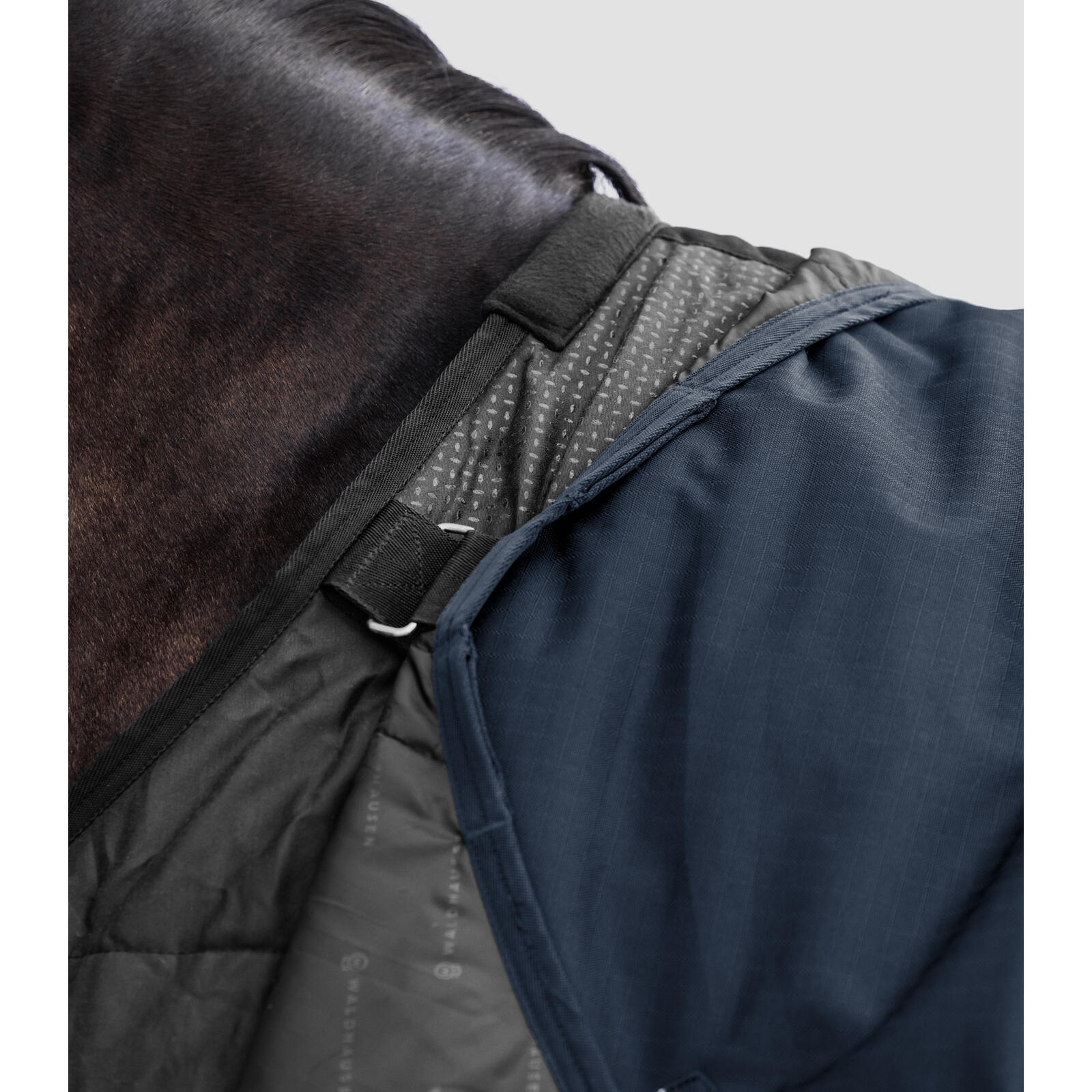 Sábana exterior multi-capa para caballo Waldhausen Scandic 250/100g 7/7