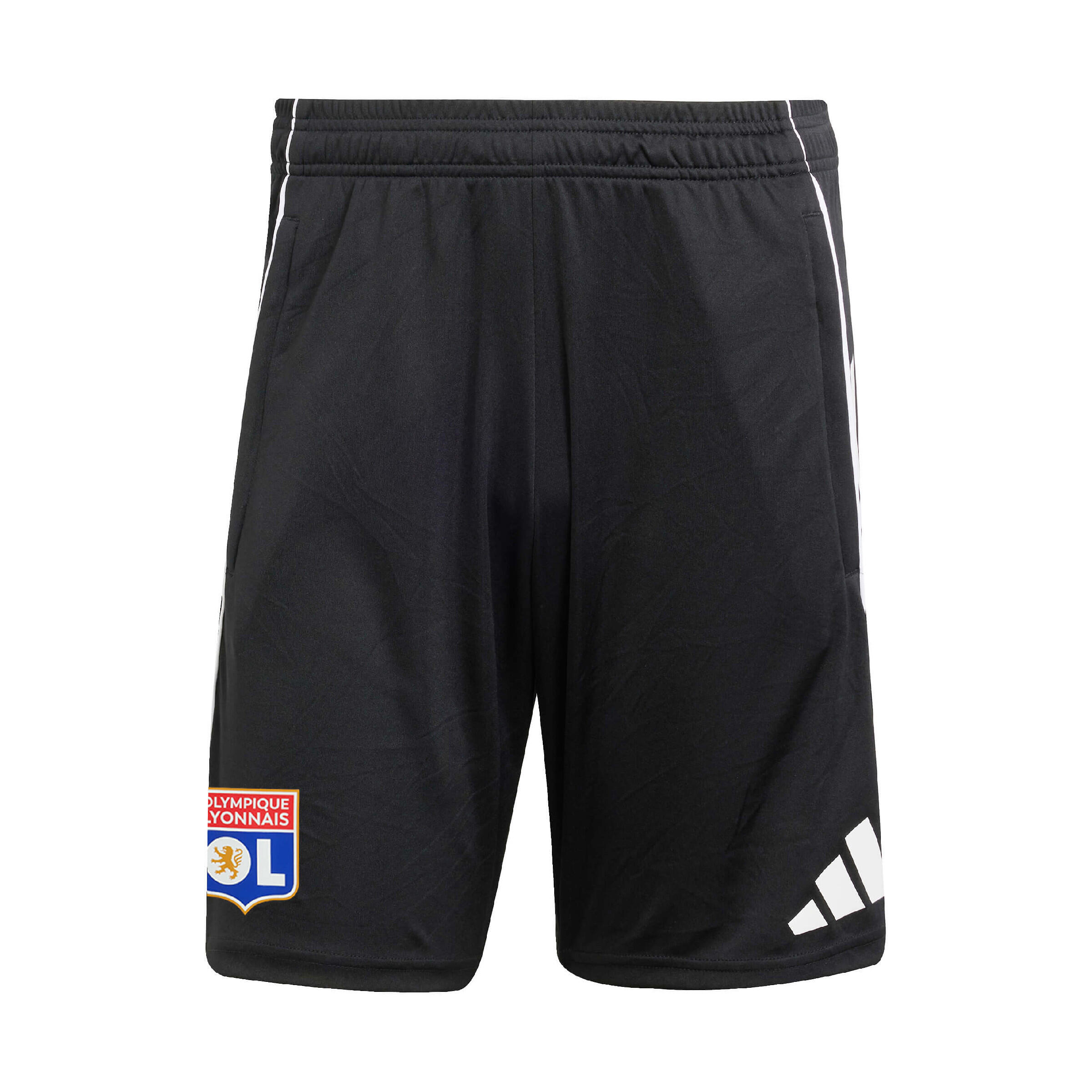 OLYMPIQUE LYONNAIS picture