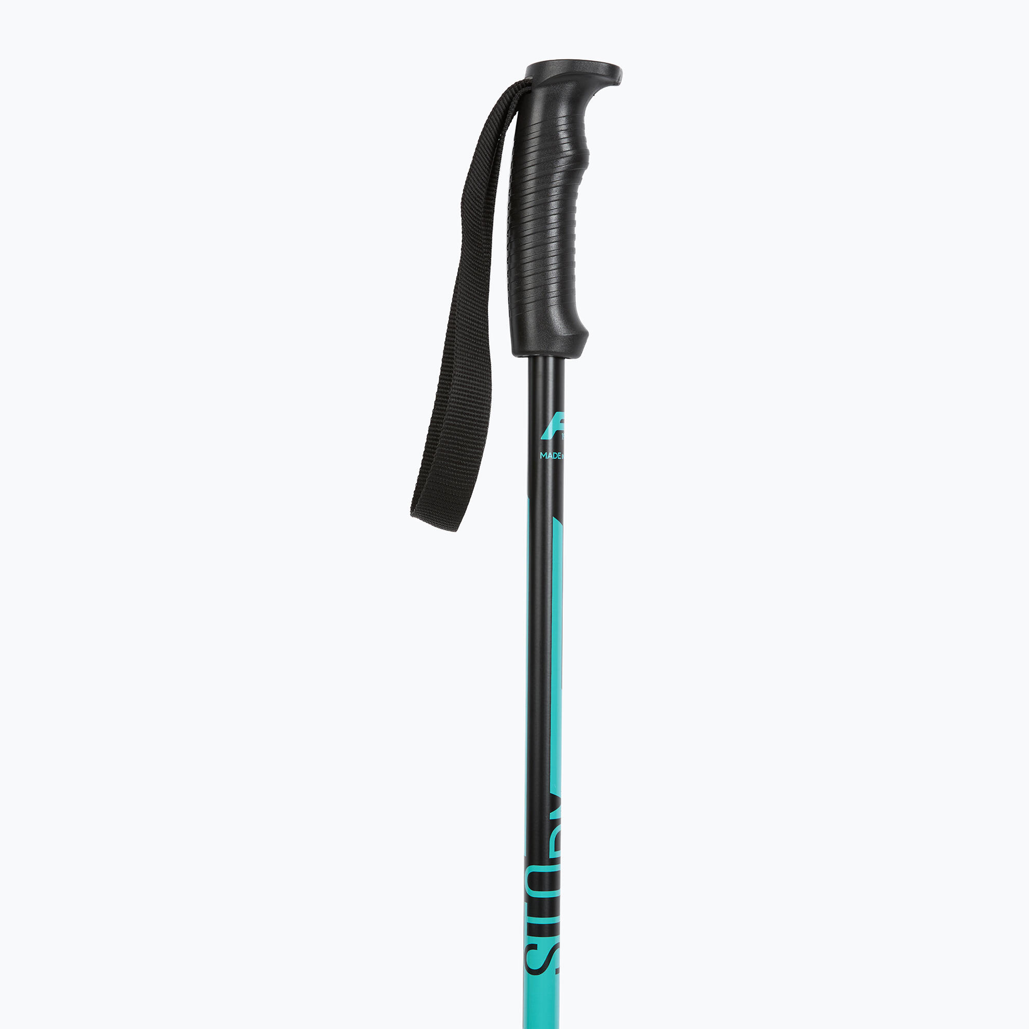 Bâtons de ski Fizan Storm 2/5