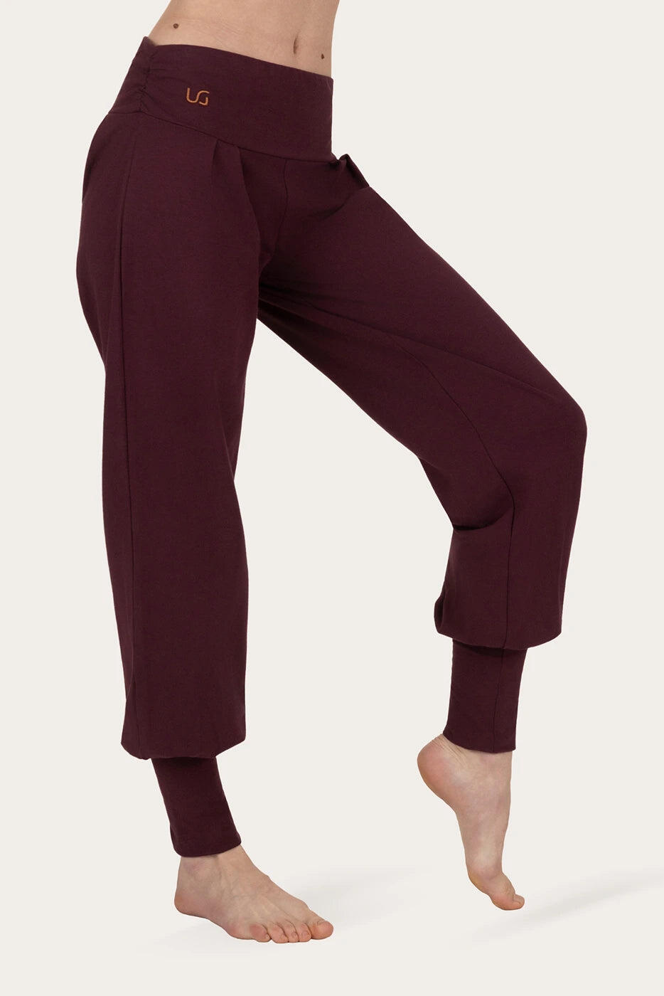 Dakini Yoga en Pilates Harembroek - Fig 2/5