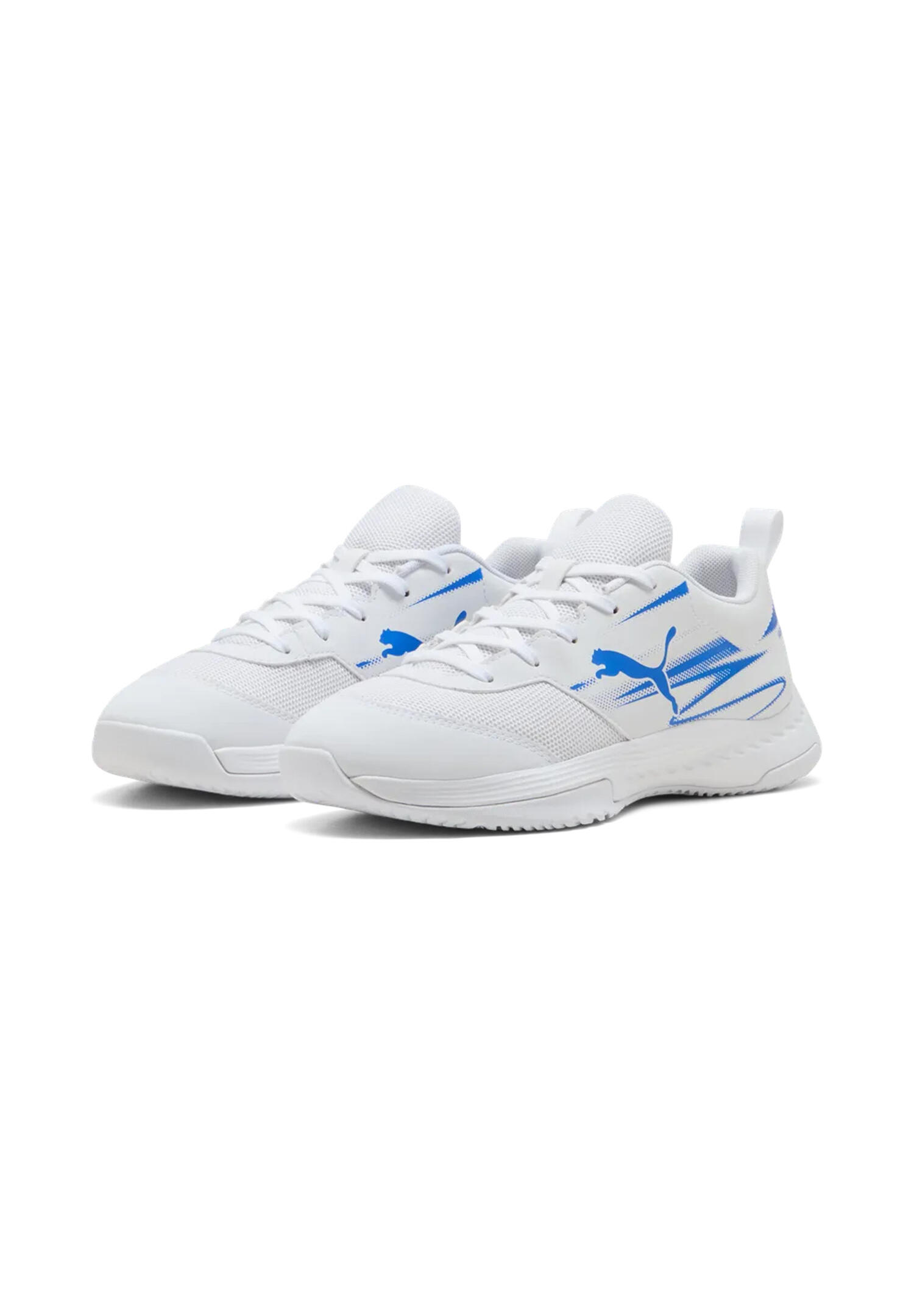 PUMA picture