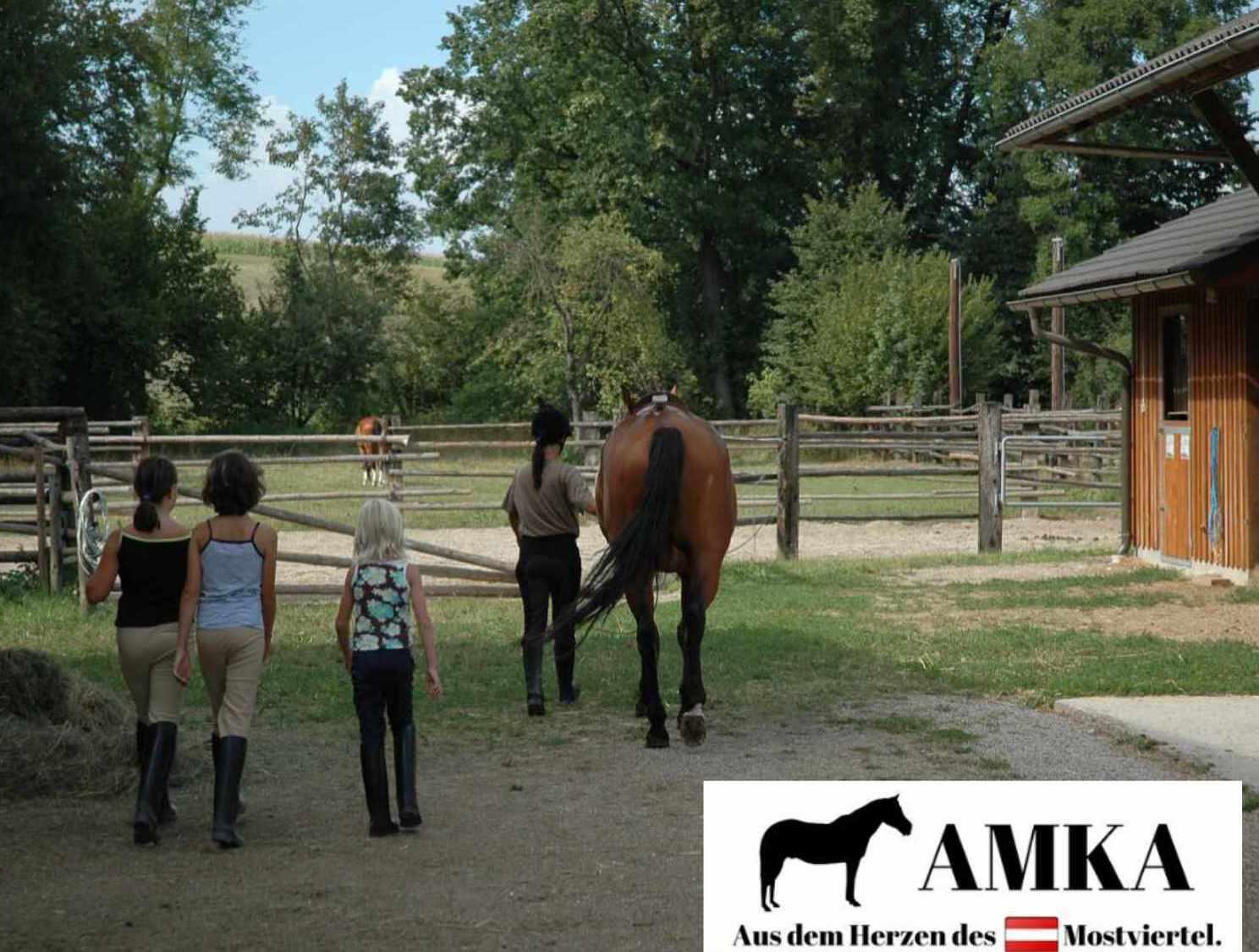 AMKA Halsring 3/4