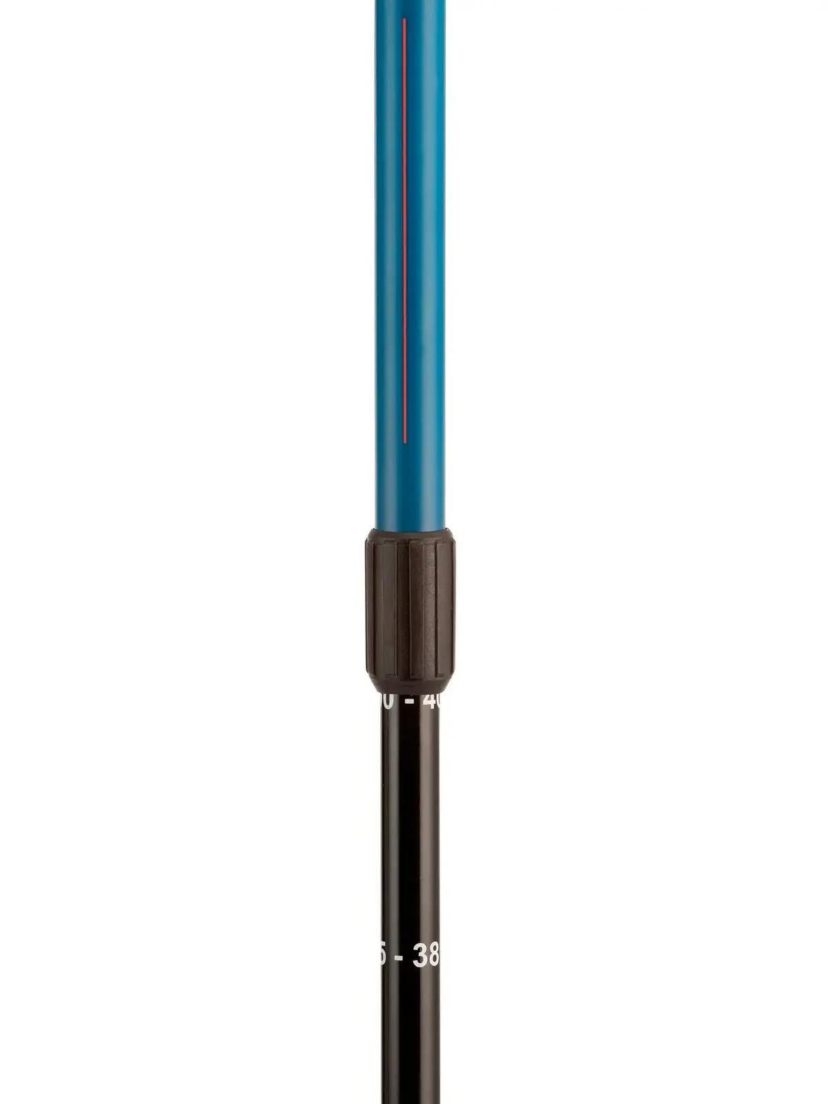 Kije narciarskie dla dzieci ROSSIGNOL Telescopic Jr - niebieski 3/4