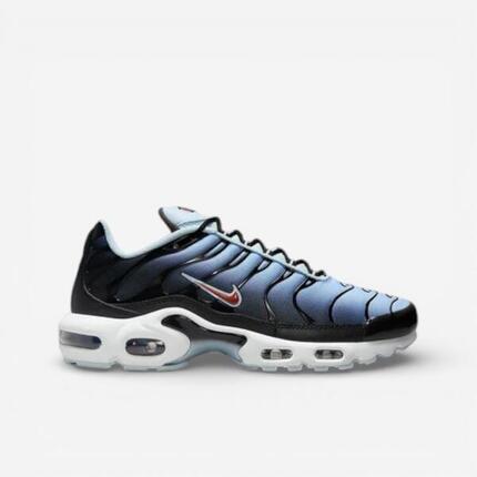 Nike Air Max Plus Blue Tint Rugged Orange (GS)