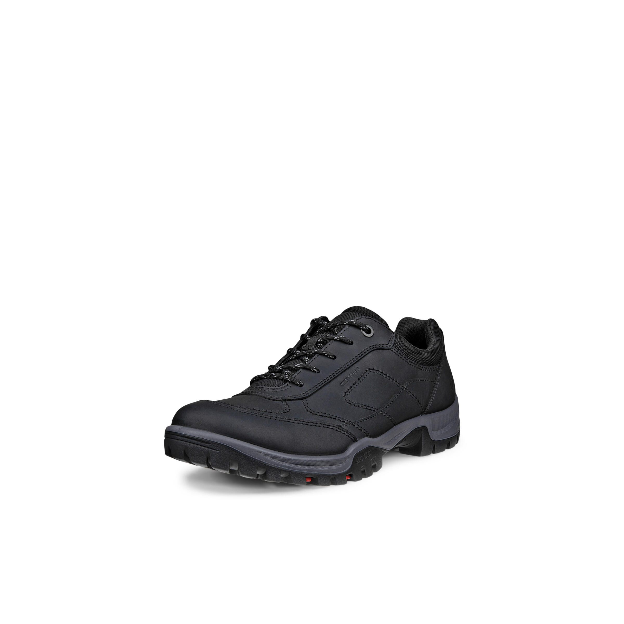 Scarpe trekking basse Ecco Xpedition III 2/7