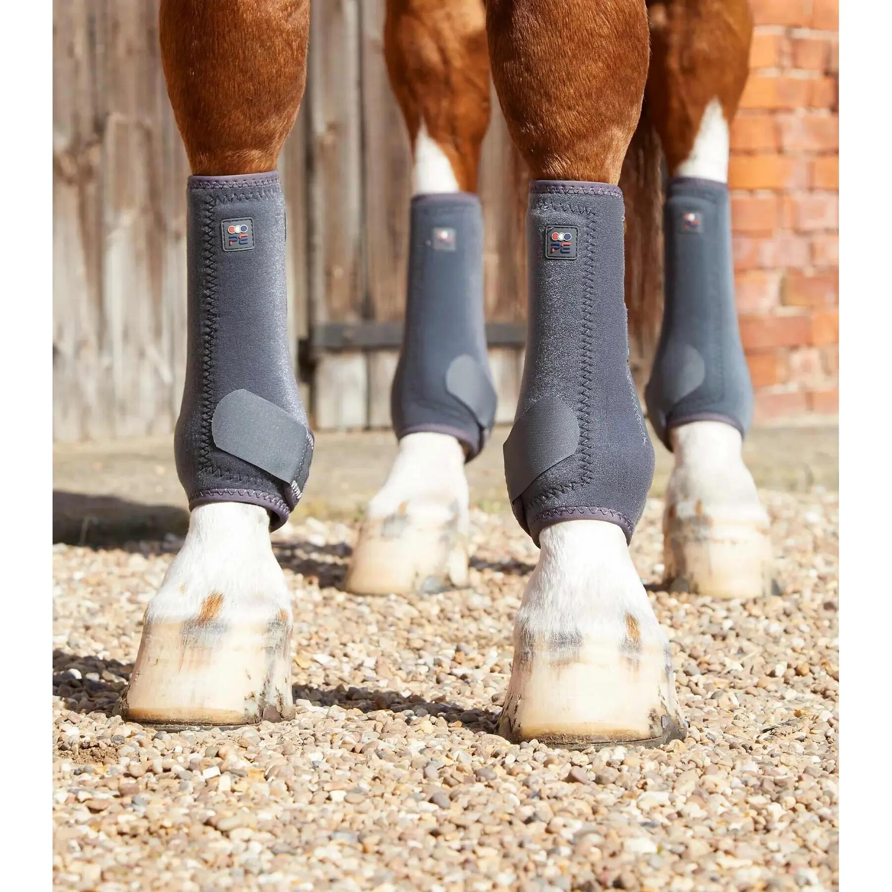 PREMIER EQUINE picture