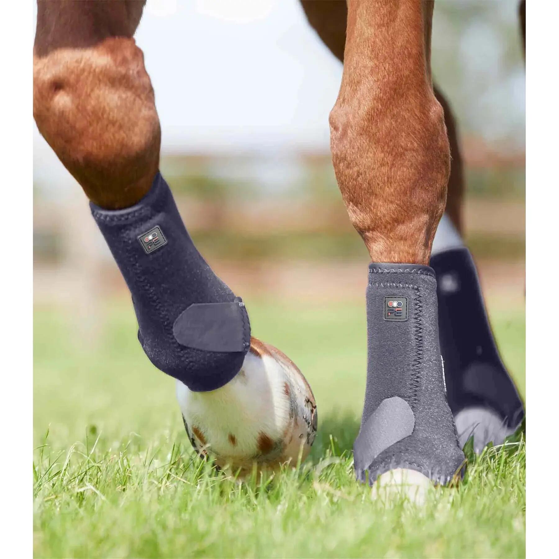 Stinchiere per cavalli Premier Equine Air-Tech Sports Medecine 4/4