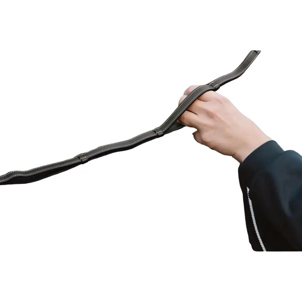 Leather reins for horses with handles Dy'on