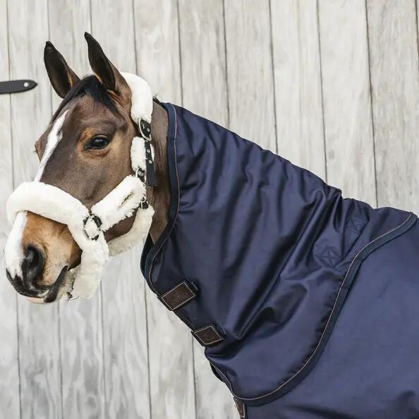 Copricollo per cavalli 0 grammi Kentucky All Weather Pro 0 g 2/4
