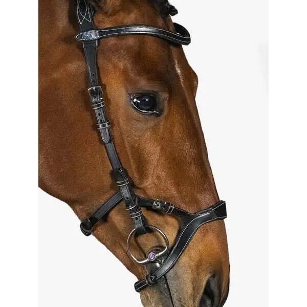 Briglia da equitazione PS of Sweden Nirak 2/3