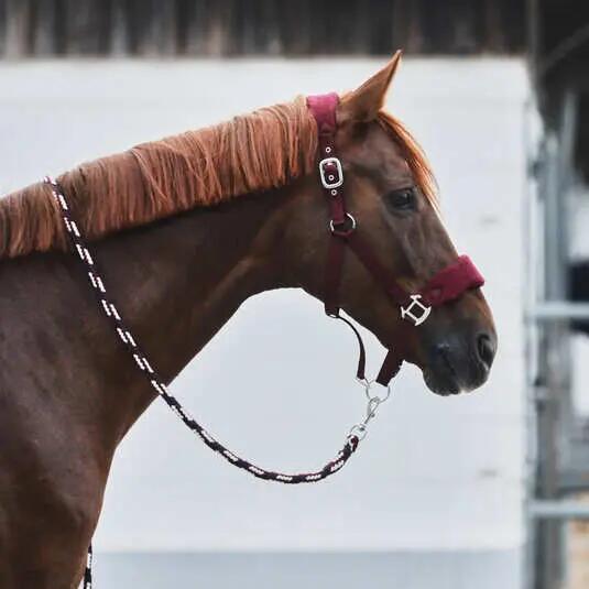 Licol pour cheval avec matelassage en polaire Horze Kiel 2/4