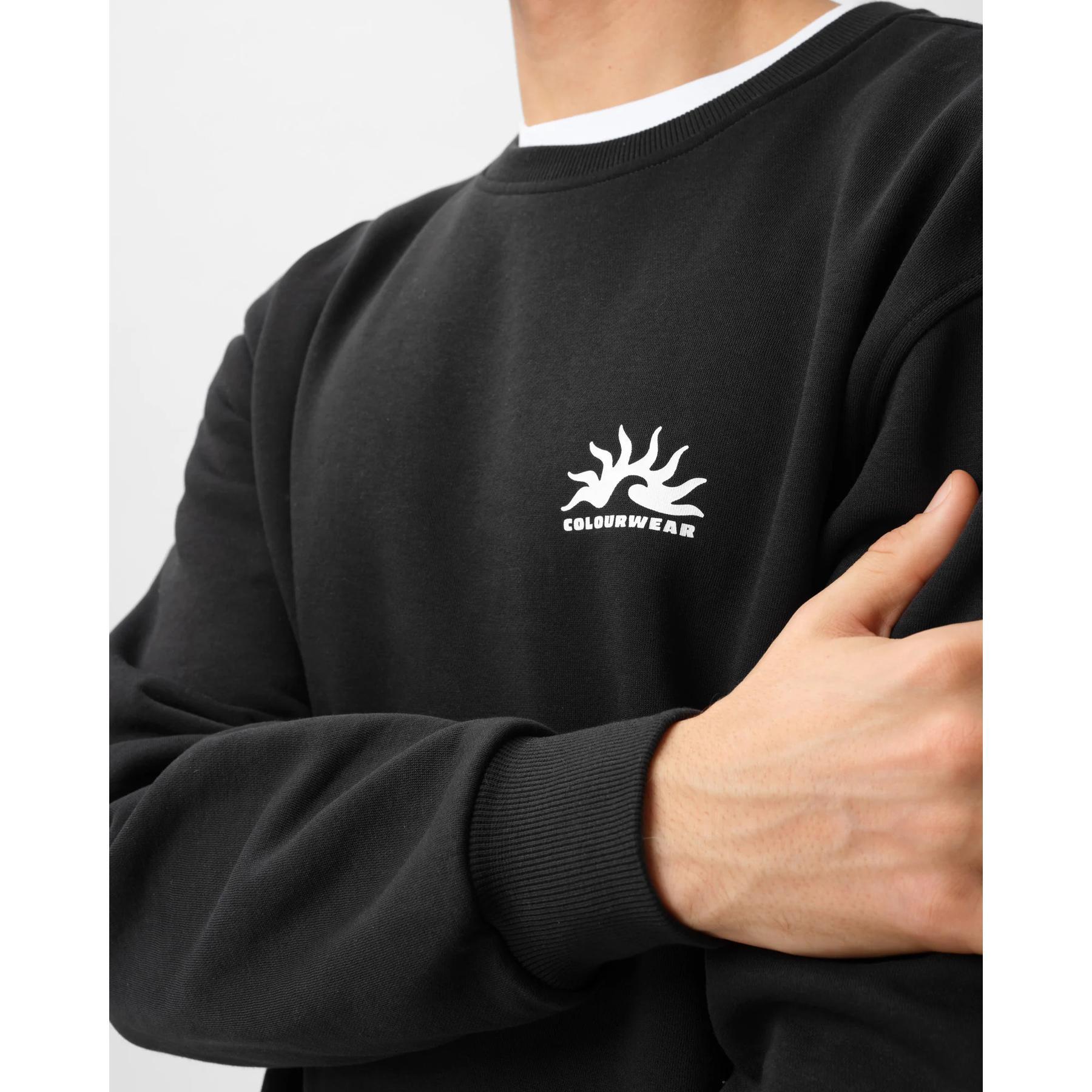 Felpa Colourwear M Da Crew 5/5