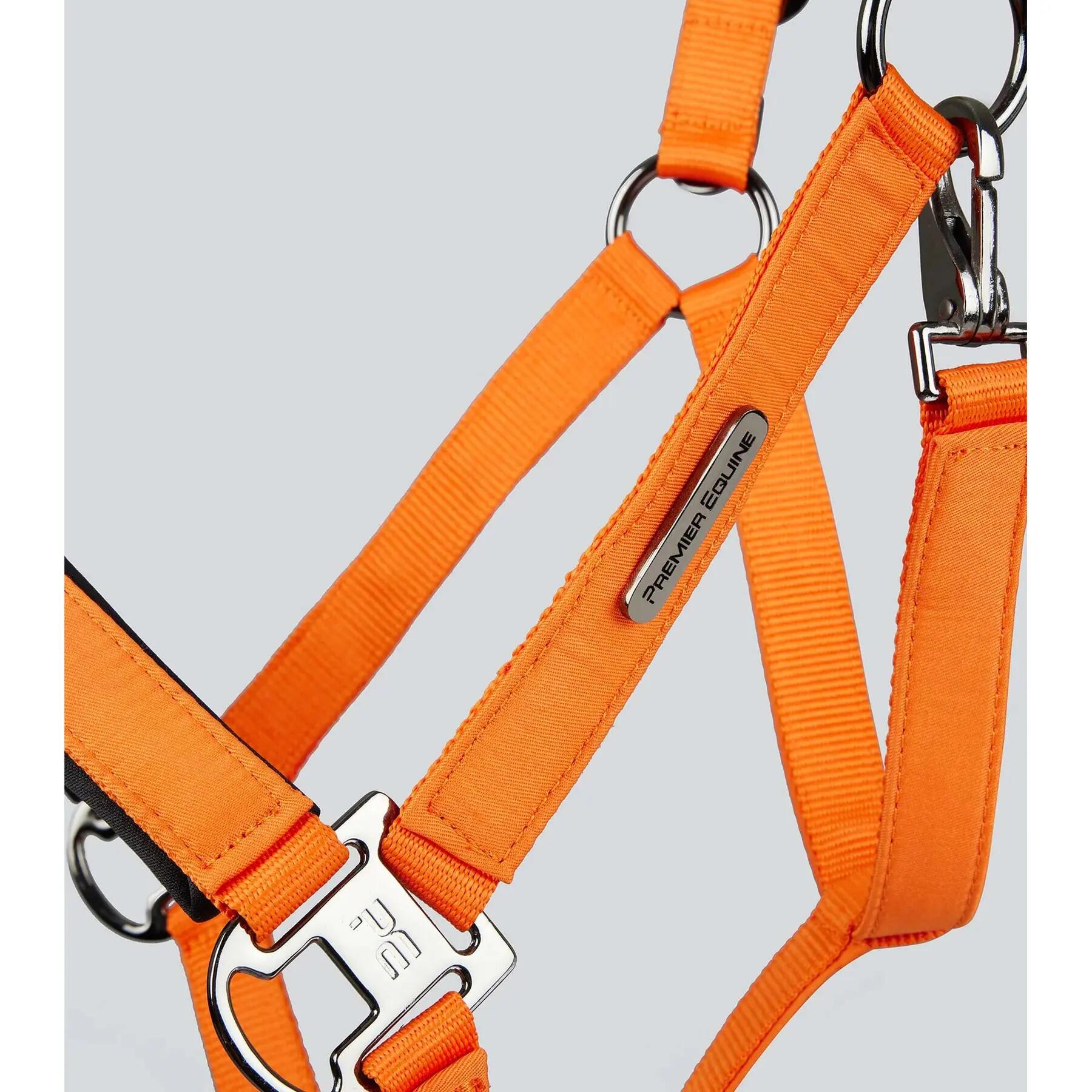 Licol nylon pour cheval Premier Equine Duco 5/6