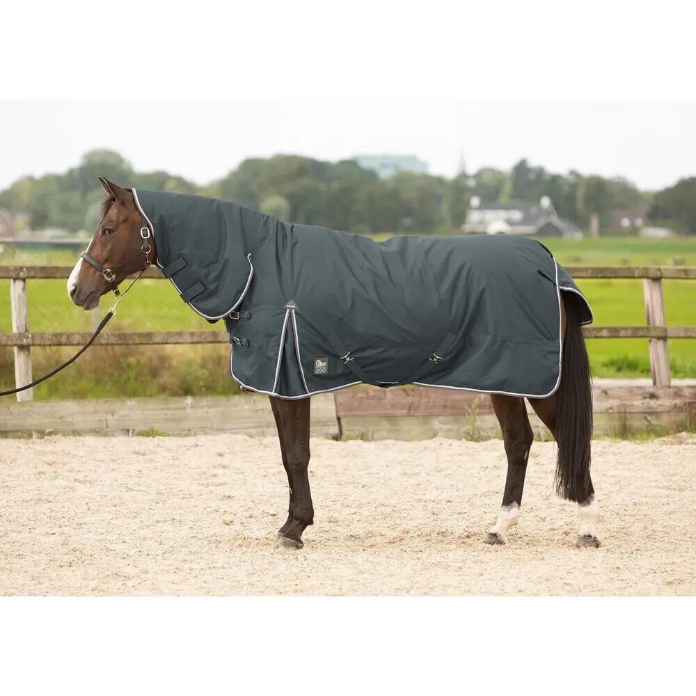 HARRYS HORSE picture