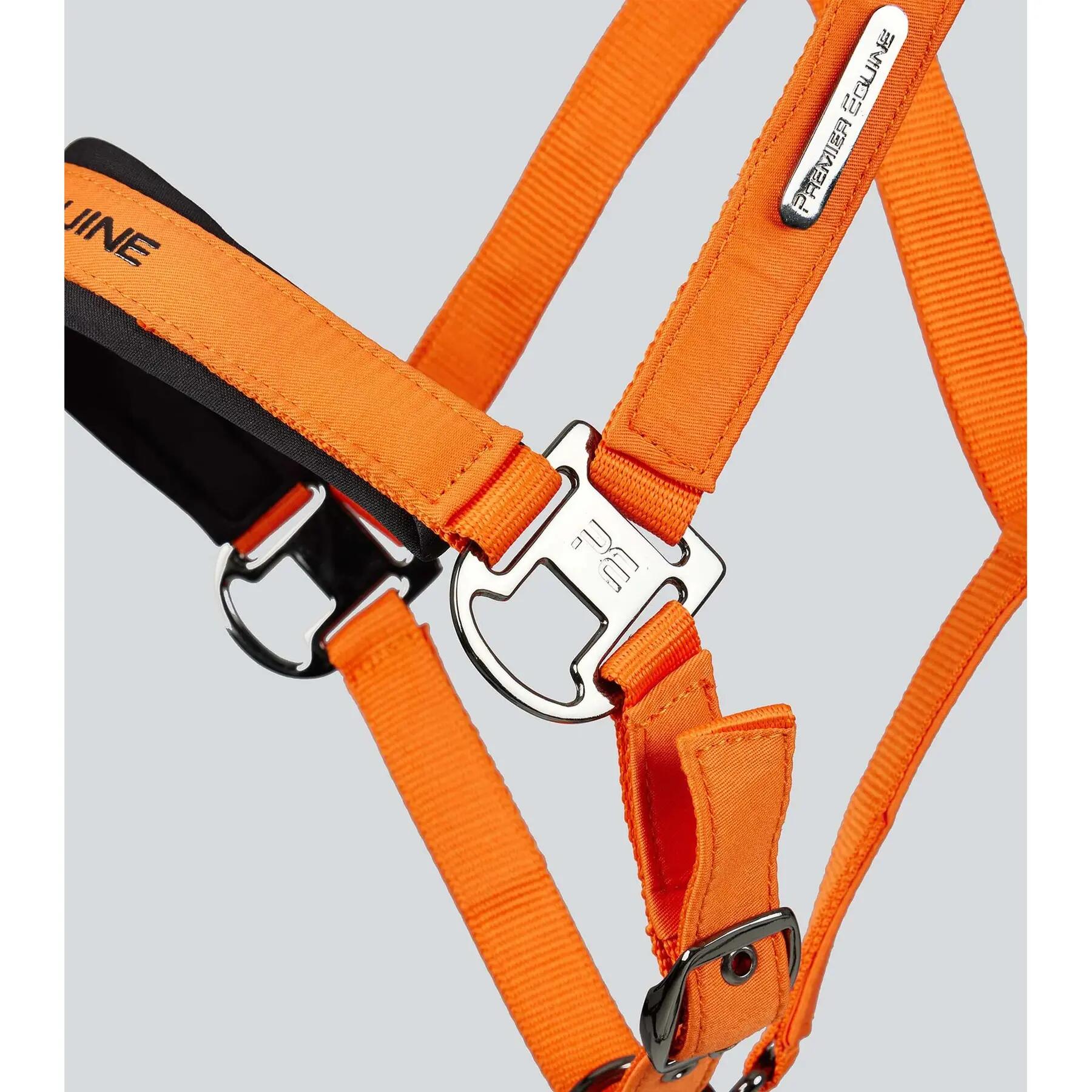 Licol nylon pour cheval Premier Equine Duco 4/6