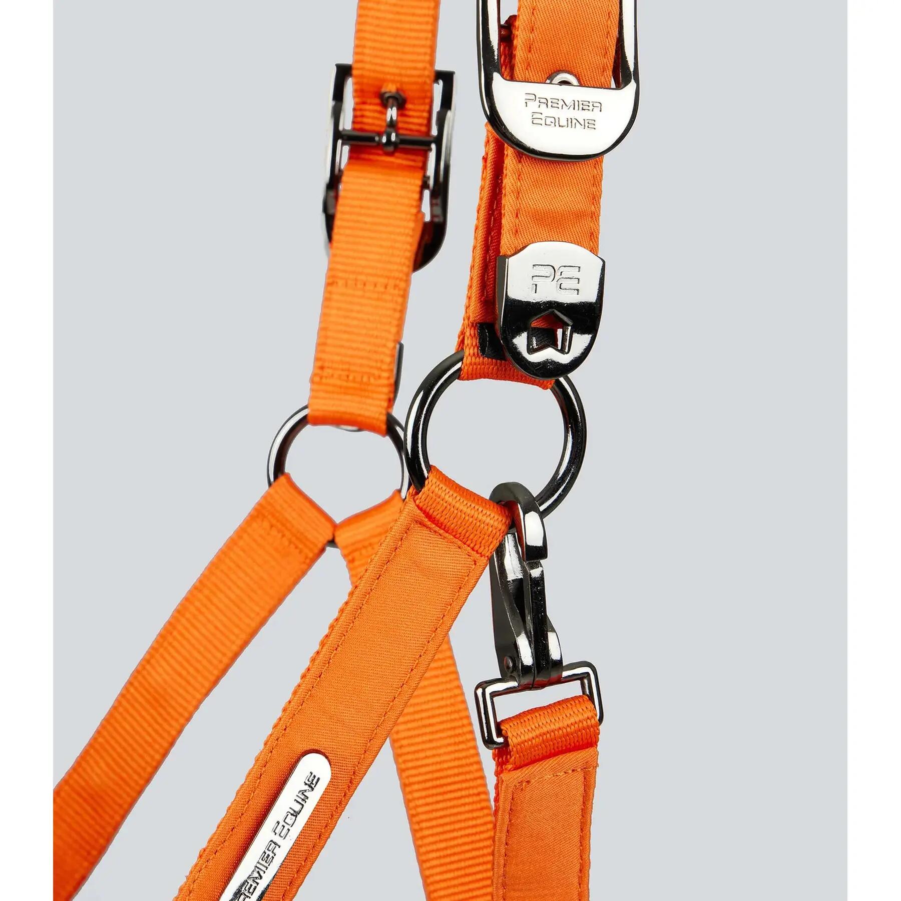 Licol nylon pour cheval Premier Equine Duco 6/6