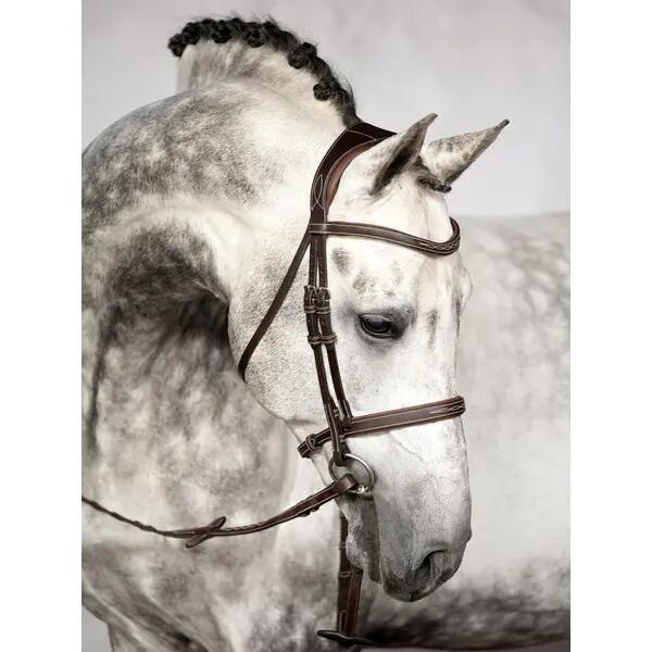 Briglia da equitazione PS of Sweden Ocala 2/3