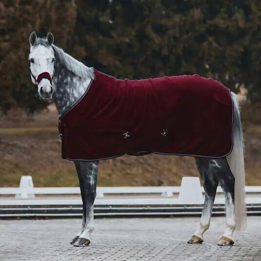 Cavezza per cavalli con imbottitura in pile Horze Kiel 3/4
