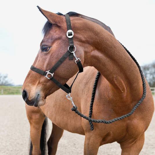 Basic horse lanyard Horze 2/2