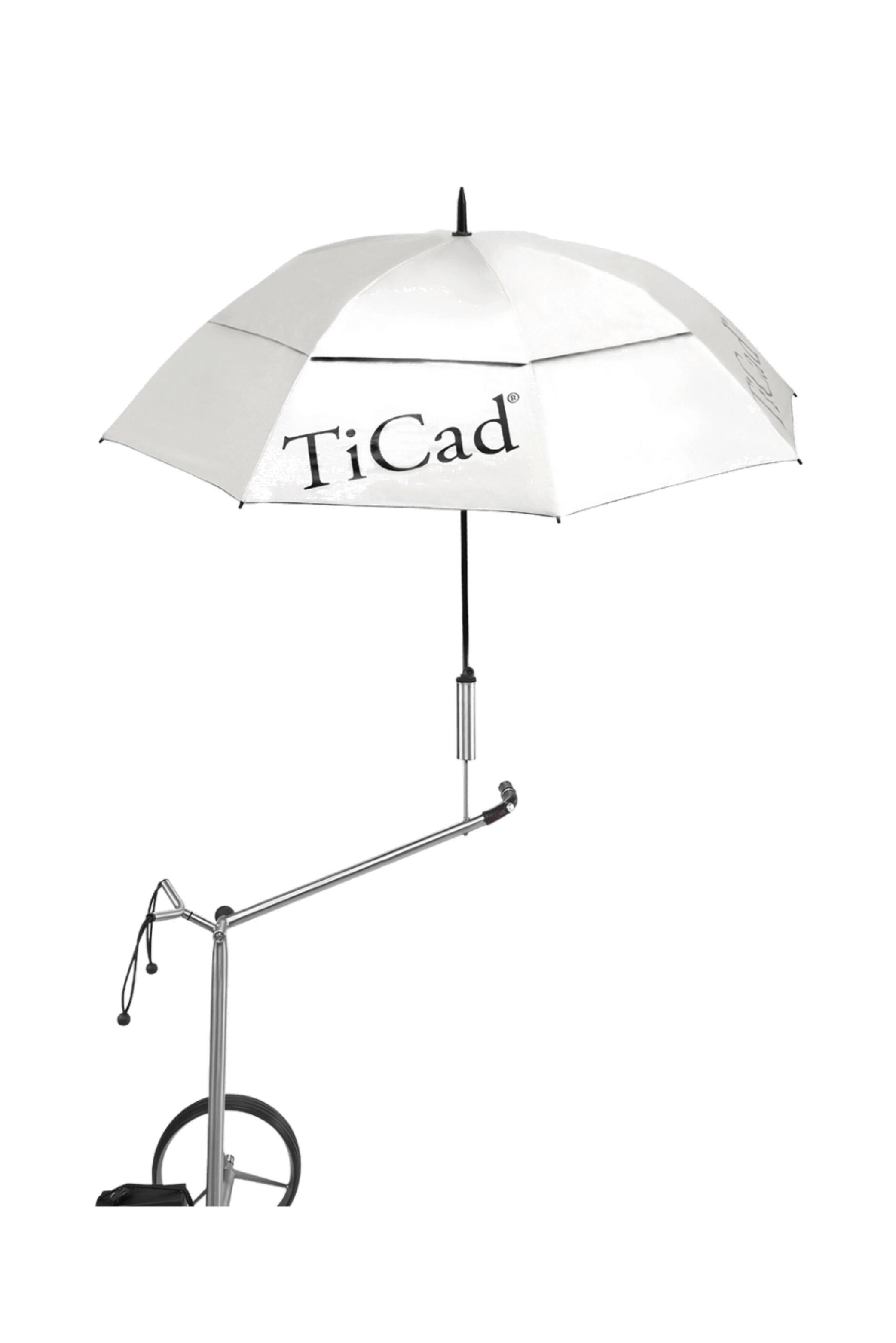 TICAD picture