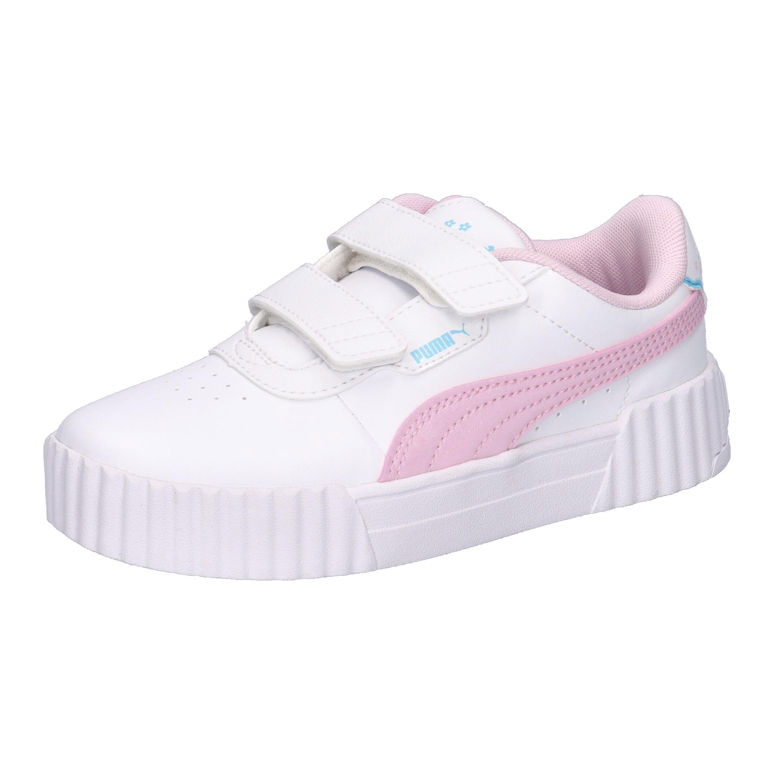 PUMA picture
