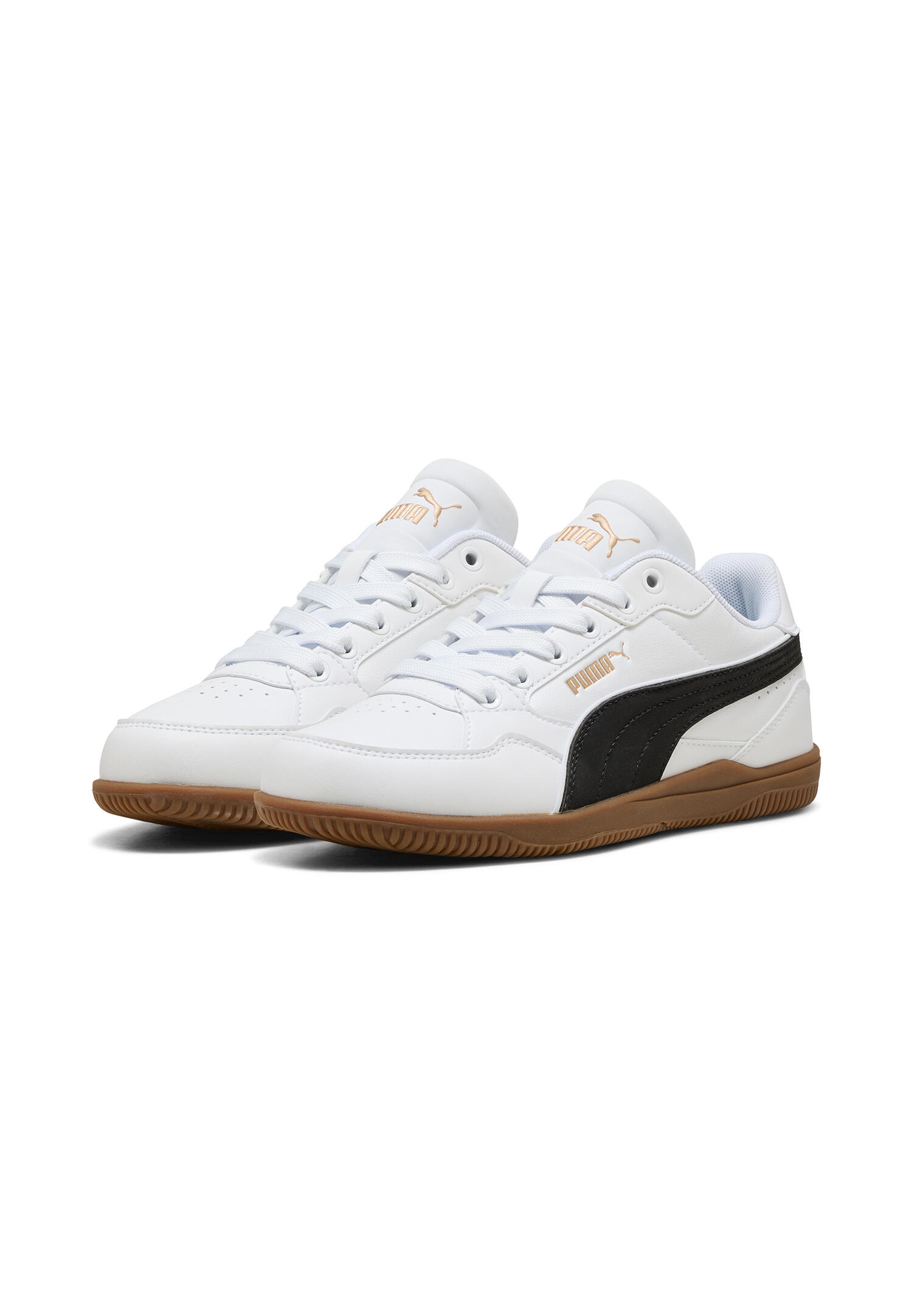 PUMA picture