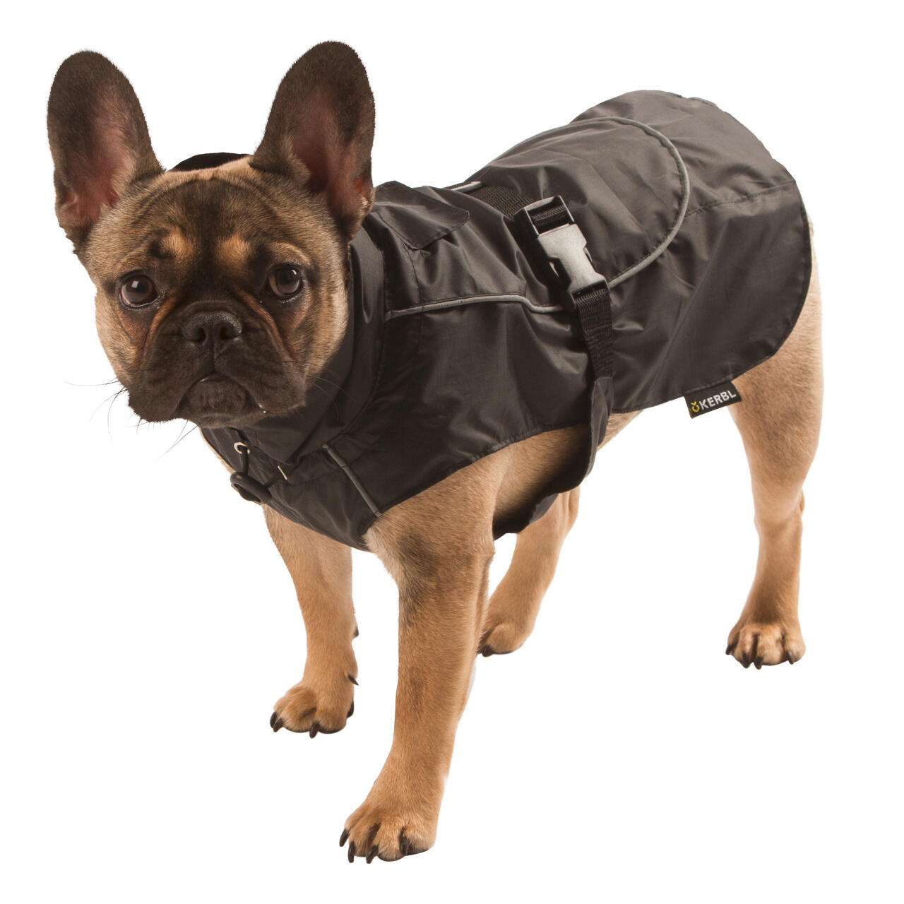 Manteau de pluie pour chien Kerbl Forks 2/2