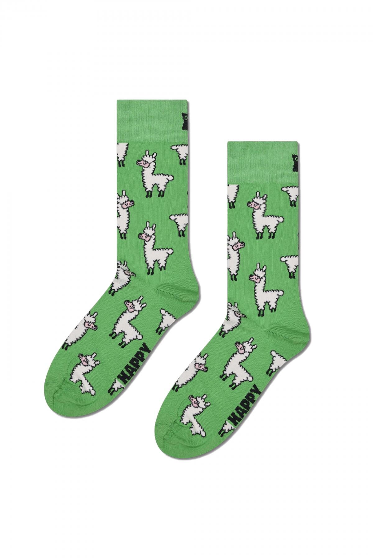 LLAMA 5/5