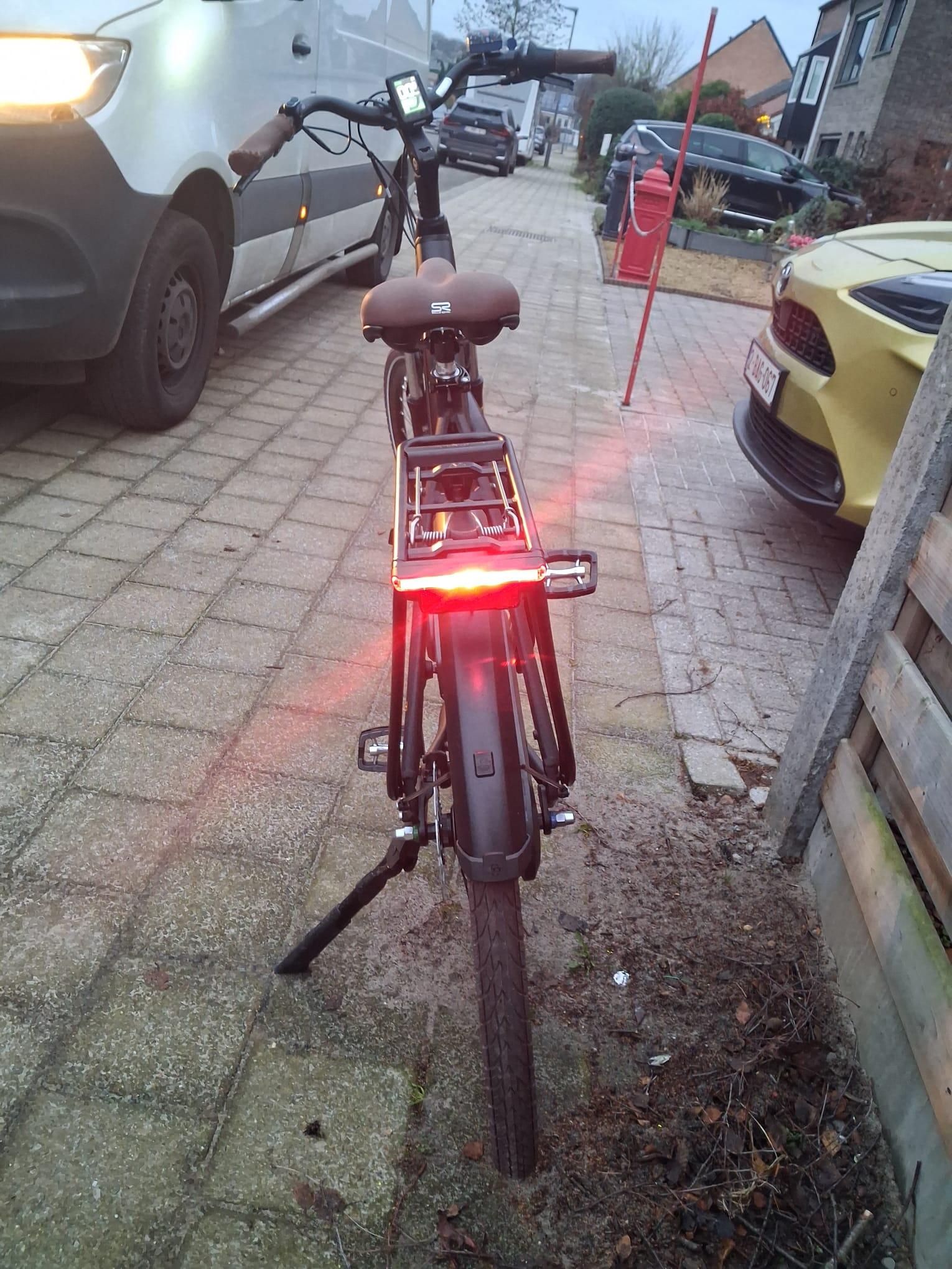 Entre Particuliers - Uniek electrische fiets 4/5