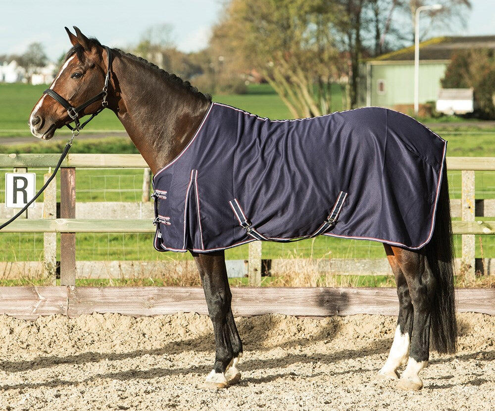 HARRYS HORSE picture