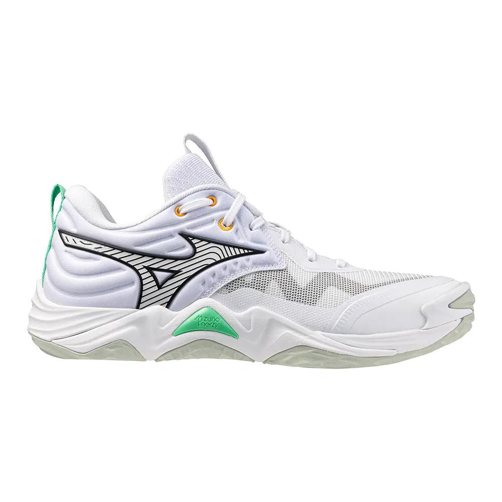 Mizuno Wave Momentum Elite Indoor Shoes