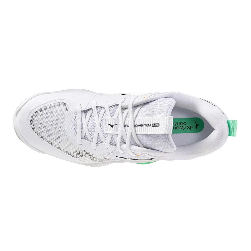 Indoor schoenen Mizuno Wave Momentum Elite 4/6