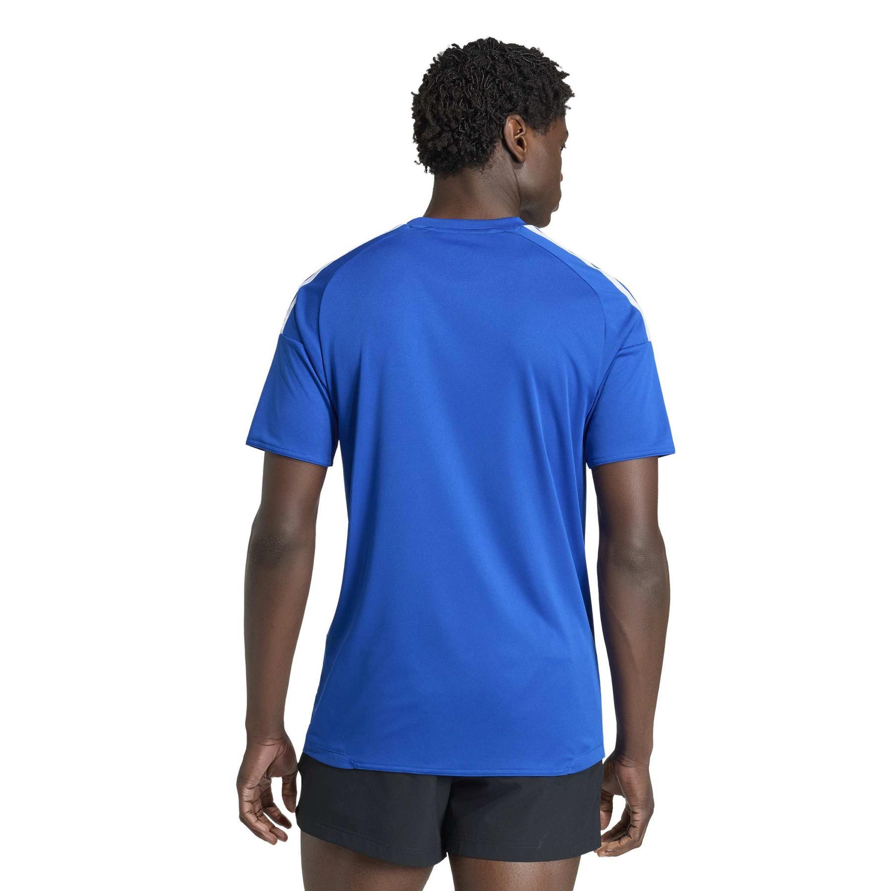 Maglia da allenamento Francia 2026/27 3/6