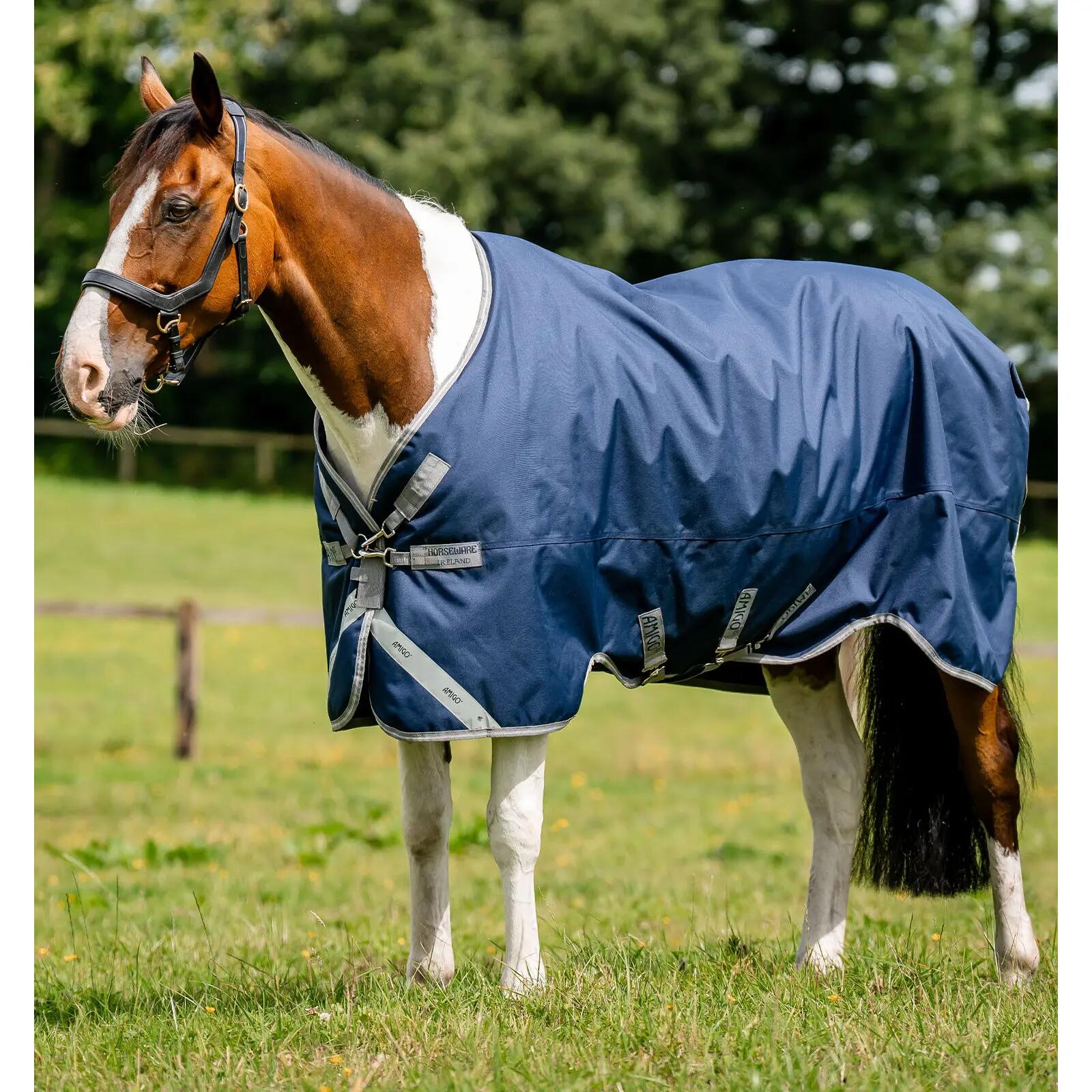 HORSEWARE IRELAND picture
