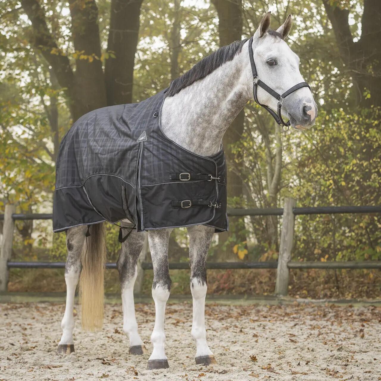 Coperta da paddock per cavalli QHP Collection 300g 2/2