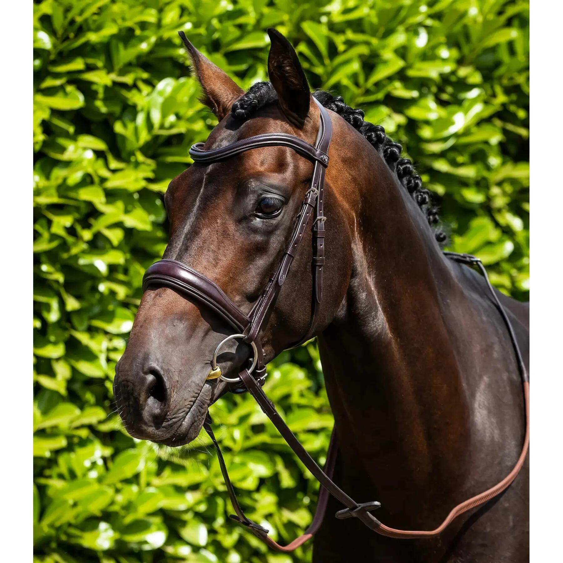 Cavallo browband in pelle liscia Premier Equine Liscio 2/3