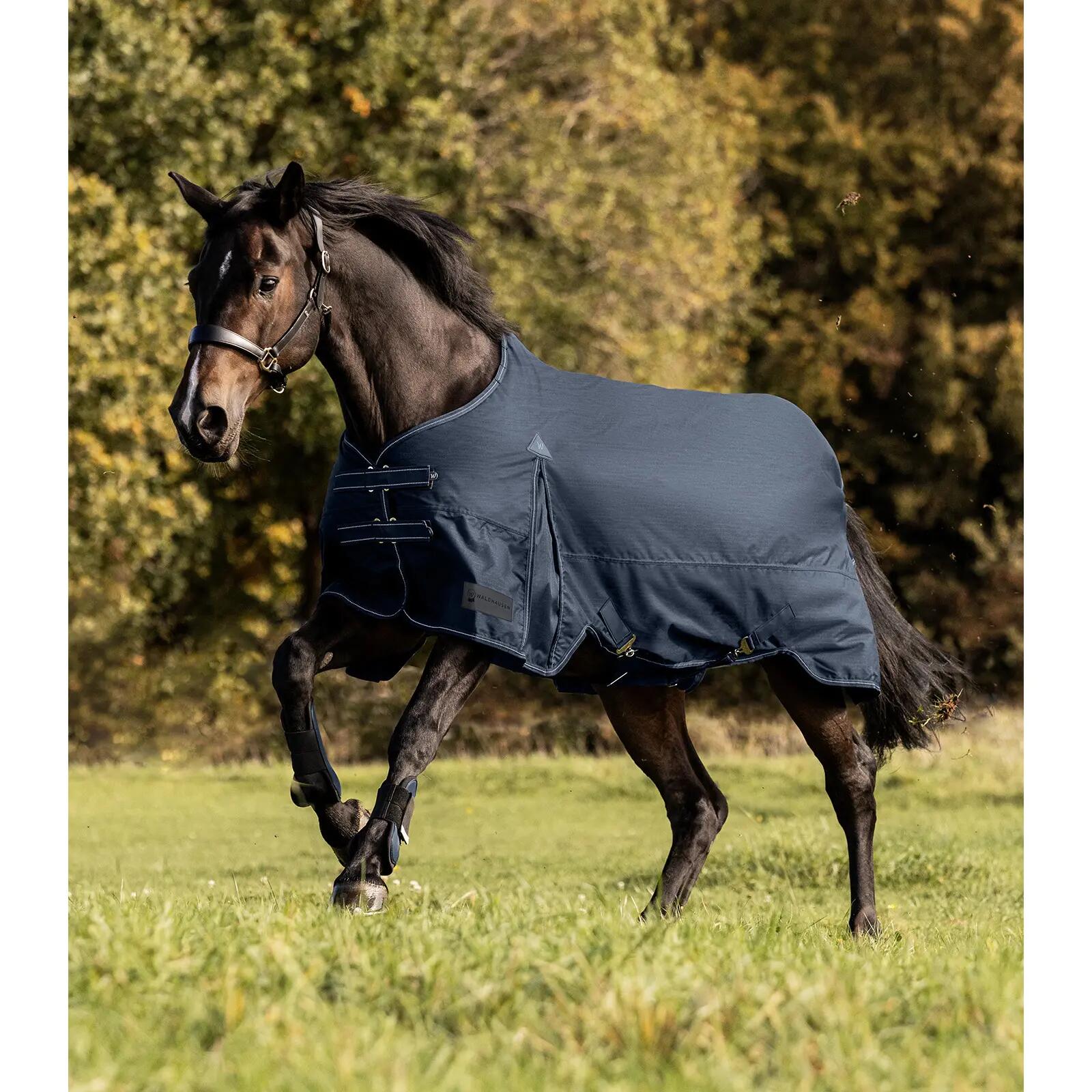 Couverture d'extérieur pour cheval Waldhausen Arctic 50g 3/5